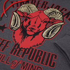 Hoodie Ibex Granit Recycled Cotton - timberjacks.store