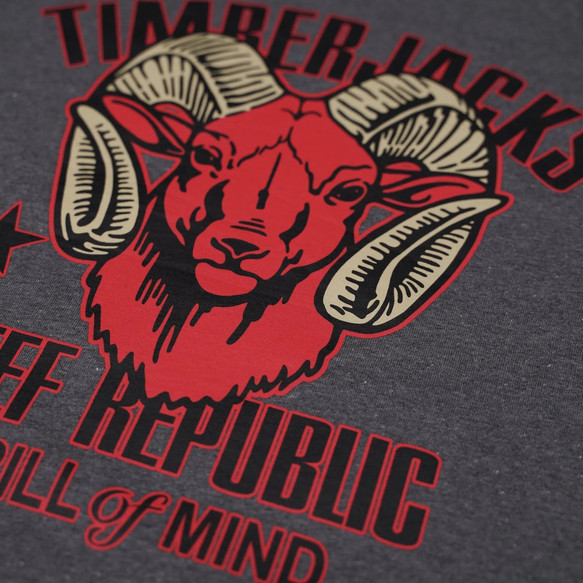 T-Shirt Ibex Women Granit Recycled Cotton - timberjacks.store